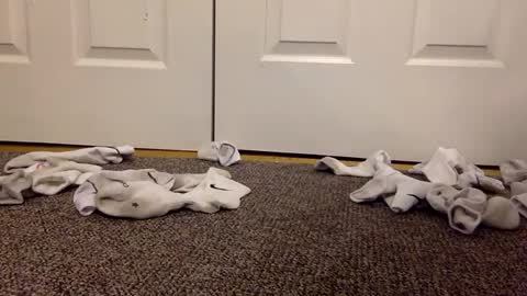 cash13bychanel online show from 13, 2, 2025