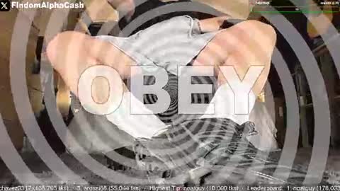 Master Grey online show from 31, 7, 2026
