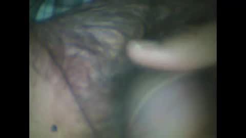 castells online show from 2, 11, 2025