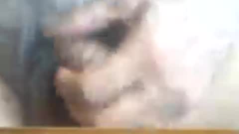 Snapshot of castells chatting on 16, 6, 2026 castells online show from 16, 6, 2026