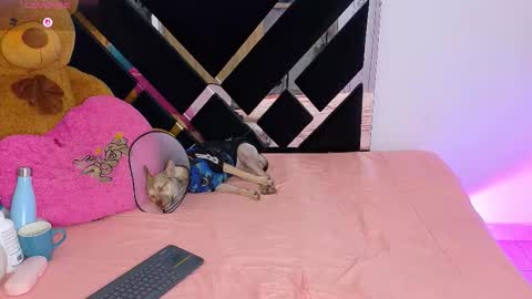 Catalina  online show from 10, 3, 2026