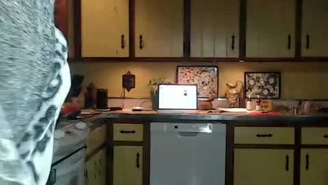 CATALYSTIC online show from 26, 10, 2025