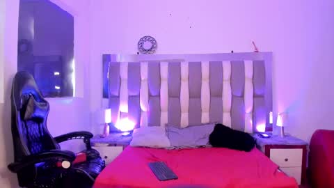 Cat  online show from 6, 12, 2024