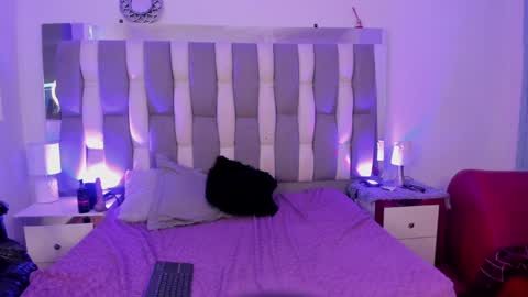 Cat  online show from 7, 12, 2024