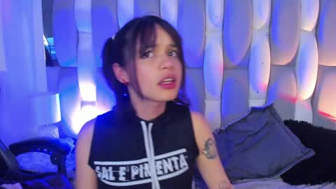 Cat  online show from 15, 12, 2024