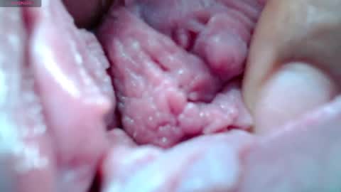 Catherina   online show from 30, 4, 2026