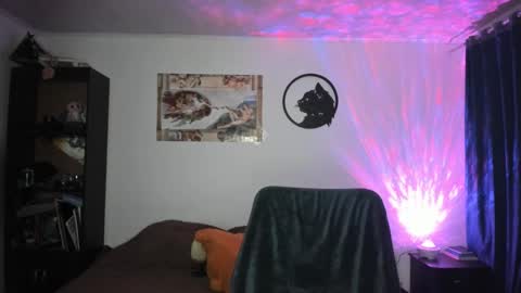 catnuaa online show from 5, 12, 2024