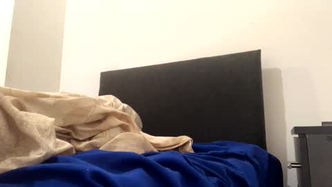 Snapshot of catpixel chatting on 2, 10, 2025 catpixel online show from 2, 10, 2025