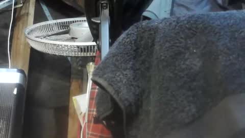 caughtnaked online show from 1, 4, 2026