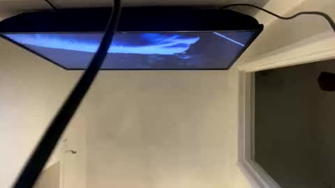 Snapshot of ccsexycam chatting on 10, 4, 2026 ccsexycam online show from 10, 4, 2026