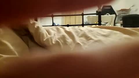 ced14 online show from 30, 9, 2025