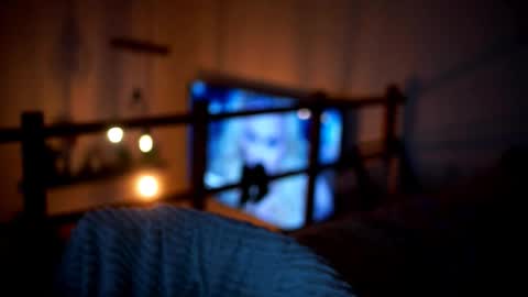 Sunflower  online show from 14, 2, 2026