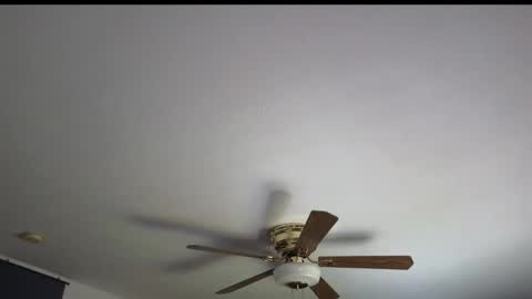 Marie online show from 7, 4, 2026