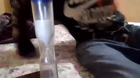 Snapshot of chanok33 chatting on 27, 2, 2025 chanok33 online show from 27, 2, 2025