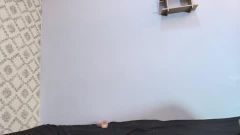 Snapshot of chantal_taylor_ chatting on 10, 3, 2025 Raquel online show from 10, 3, 2025