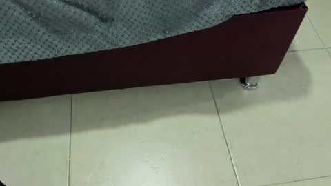 Charlott online show from 13, 12, 2024