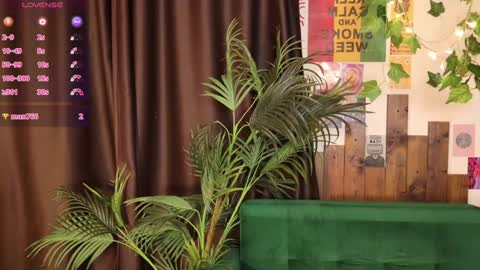 Lissa online show from 1, 2, 2025