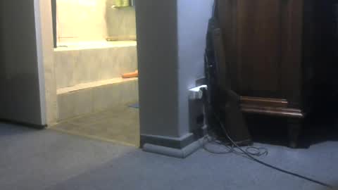 Snapshot of chaturbatordeluxe chatting on 28, 6, 2026 chaturbatordeluxe online show from 28, 6, 2026