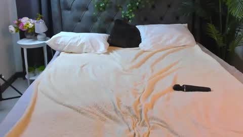 Snapshot of cheezy_cream chatting on 4, 12, 2025 cheezy_cream online show from 4, 12, 2025