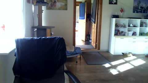 chefben666 online show from 16, 10, 2025