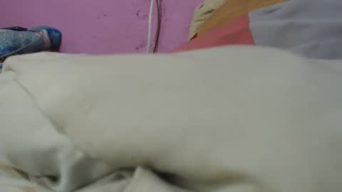 Snapshot of cheliafun chatting on 29, 6, 2026 Cheila online show from 29, 6, 2026