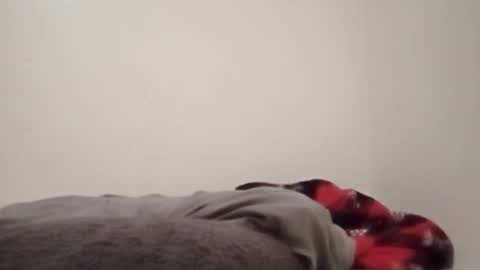 Snapshot of chemicalx_ chatting on 4, 2, 2026 ChemicalX online show from 4, 2, 2026