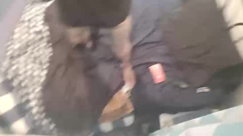 Snapshot of chev1981 chatting on 15, 10, 2025 Chevy online show from 15, 10, 2025