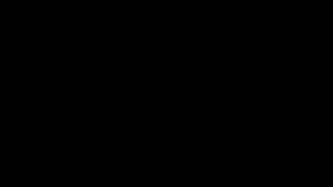 chico93ibz online show from 3, 3, 2025