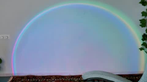 Snapshot of chillsnail_bro chatting on 11, 2, 2026 Bella online show from 11, 2, 2026