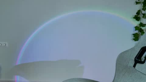 Snapshot of chillsnail_bro chatting on 16, 2, 2026 Bella online show from 16, 2, 2026