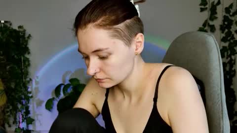 Snapshot of chillsnail_bro chatting on 3, 3, 2026 Bella online show from 3, 3, 2026