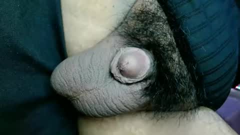 Snapshot of chinny_fuckdoll chatting on 3, 11, 2025 chinny_fuckdoll online show from 3, 11, 2025