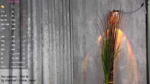 Chloe online show from 10, 12, 2024