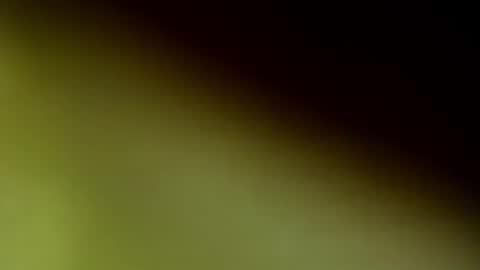 Snapshot of chloee_thompson chatting on 20, 9, 2025 ChloeeThompson online show from 20, 9, 2025