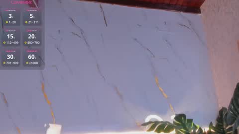 Chloee online show from 2, 12, 2025