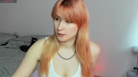 choco_meowx online show from 21, 5, 2026