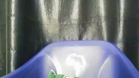 Snapshot of chocoslut22 chatting on 14, 12, 2025 chocoslut22 online show from 14, 12, 2025