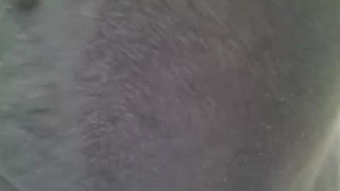 chubbycub14 online show from 7, 2, 2026