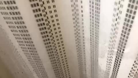 Snapshot of chubbydl69 chatting on 10, 5, 2026 chubbydl69 online show from 10, 5, 2026