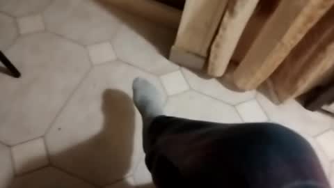 ciccilli online show from 16, 10, 2025