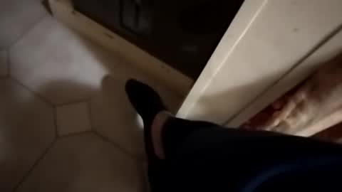 ciccilli online show from 8, 11, 2025