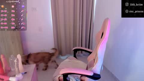 Paulina online show from 17, 11, 2025