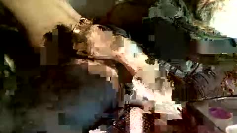 Snapshot of cityman2023 chatting on 5, 3, 2025 dan online show from 5, 3, 2025