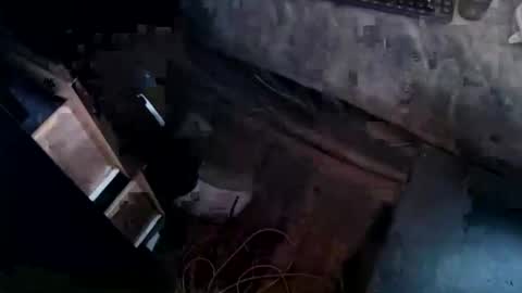 cj_wunderlust online show from 4, 11, 2025