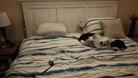 Snapshot of cking14340730238 chatting on 10, 10, 2025 KingDing online show from 10, 10, 2025