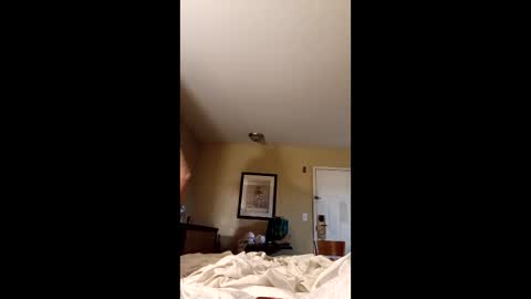 Snapshot of claytonbrannon3717547 chatting on 17, 12, 2025 claytonbrannon3717547 online show from 17, 12, 2025