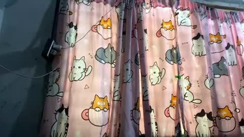 Snapshot of clorahosfeld chatting on 12, 5, 2026 Mikki online show from 12, 5, 2026