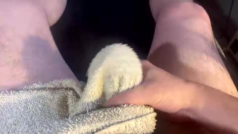 Clover online show from 26, 11, 2025