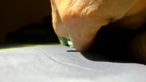 cmen420 online show from 10, 1, 2026