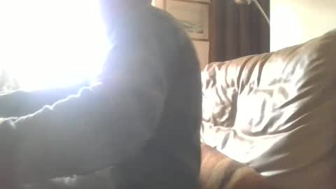 Snapshot of cock9635 chatting on 28, 12, 2024 cock9635 online show from 28, 12, 2024